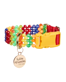 Playdate Dog Collar
